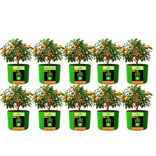 Image of Kingwell grow bags 15x18 inch pack of 10 For Terrace Garden Vegetable Plant Grow Bags Fruits Growing Containers For terrece Gardening