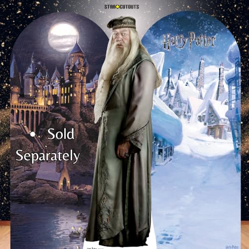 Silhouette Dumbledore en carton pour grand décor Harry Potter - 8