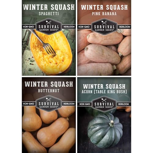 Winter Squash Variety Pack – 4 Heirloom Types for Planting: Butternut, Acorn, Pink Banana & Spaghetti – Non-GMO Garden Vegetables – Survival Garden Seeds