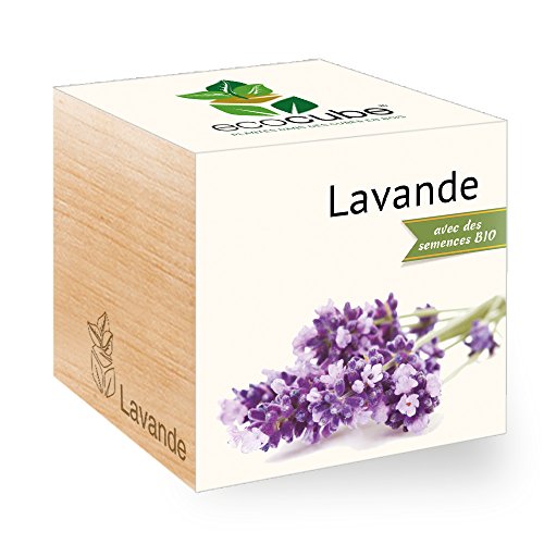 Ecocube Lavanda, certificado orgânico, kit de cultivo próprio, presente sustentável e invulgar (100 % ecológico), planta num balde de madeira, fabricado na Áustria