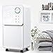 Osuszacz Nawilżacza Do Domu, Osuszacz Elektryczny 2 W 1, Automatyczny Lub Ręczny Odpływ/blokada Dziecięca, Do Usuwania Wilgoci Z Pomieszczeń/przyczep Kempingowych