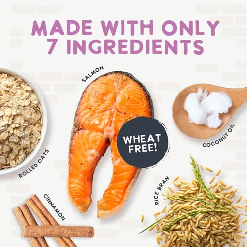 Health Extension Oven-Baked Dog Treats, Salmon Recipe – Gluten & Grain-Free, Superfood-Infused, Crunchy Biscuits for Puppy Training (2.25 lb) - Thumbnail 5