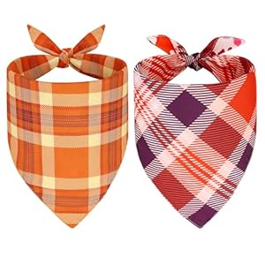 SZEE Bandanas de otoño para perros, 2 accesorios de temporada para mascotas con hojas de arce y cuadros, bandanas de otoño para perros para cálidas vibraciones otoñales (L, amarillo y rojo)