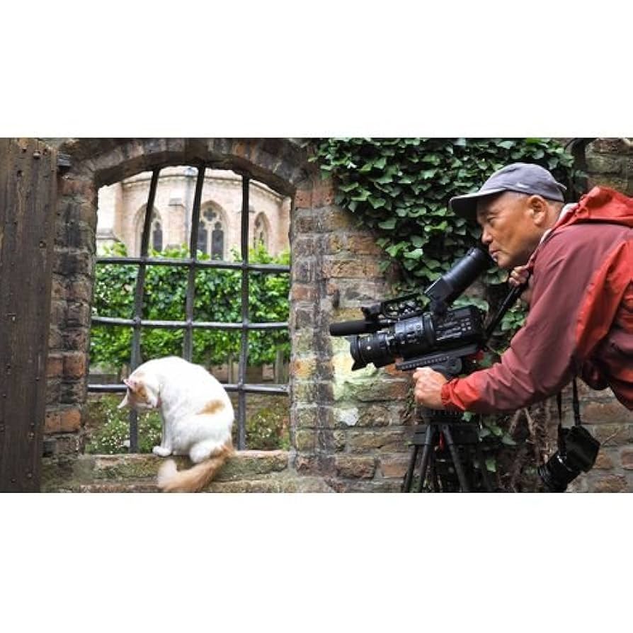 岩合光昭の世界ネコ歩き　ベルギー　DVD qqffhab 岩合光昭の世界ネコ歩き ベルギー ブルーレイ -NHKグループ公式