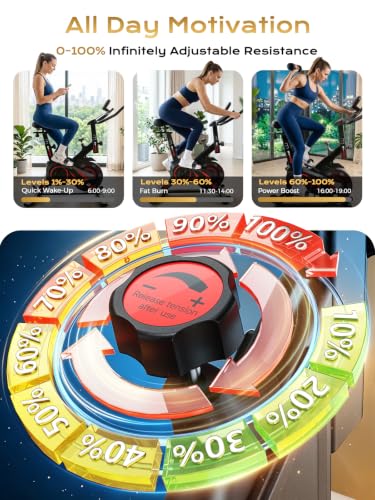 Exercise Bike 350 LB Capacity