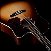 Vista 2 de SEAGULL Entourage Otoño Burst CW Presys II