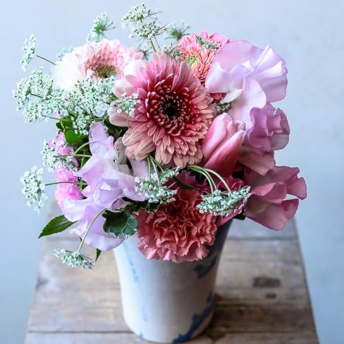 t[Xg t[AWg STCY sN b܎܃fUCi[ďC ԑ   t[ Mtg v[g 蕨 a j LO ސEj