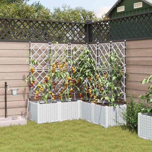Sophrelle Macetero de Jardín 5 pcs Plástico Blanco,42002924