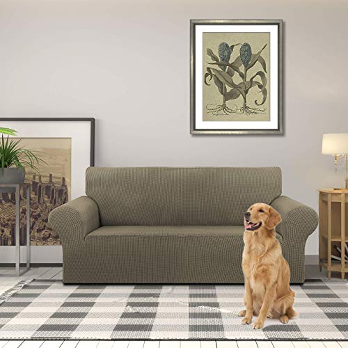 KEKUOU Stretch Loveseat Sofa Cover Slipcover,Couch Covers for 2 Cushion Couch Sofa (55"-78") Furniture Protector Sofa with Elastic Bottom for Kids,Dog. Jacquard Small Checked (Medium,Khaki)