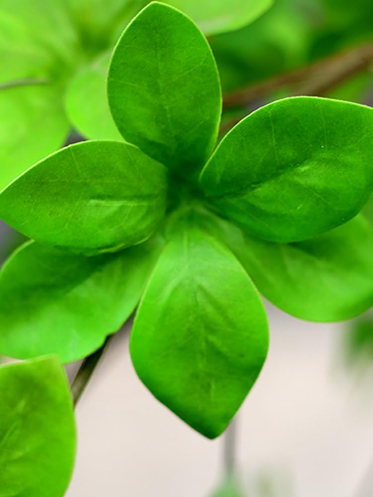 Bell Tree konia pijany drewno drzewo drzewo nordyckie w pomieszczenia Fałszywa Zielona roślina