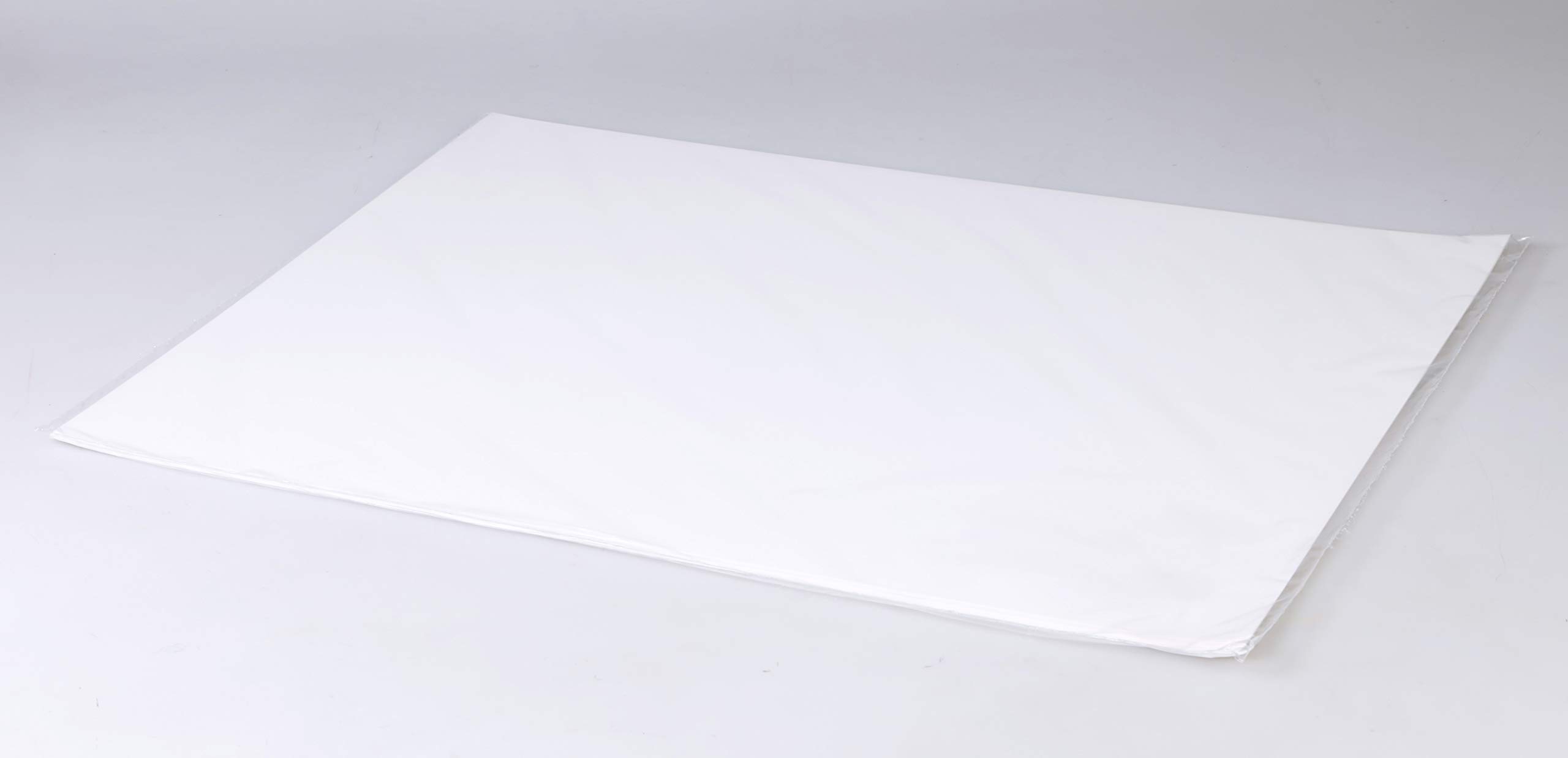 Clairefontaine - Ref 975193C - Lavis Dessin Technical Drawing Sheets (10 Sheets) - A2 (594 x 420mm) Size, 200gsm Paper, Smooth Surface with Light Grain, Acid Free, pH Neutral