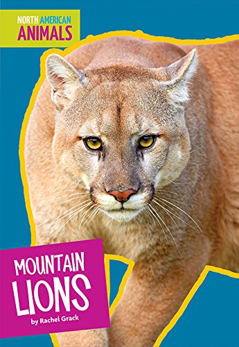  Mountain Lions