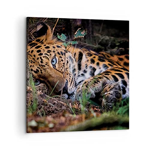 Impression sur toile - Image sur Toile - Un élément - Léopard Portrait Jaguar - 50x50cm - Decoration murale - Tableaux Décoration Moderne - Tableau Mural - Tableaux pour la mur - AC50x50-4493