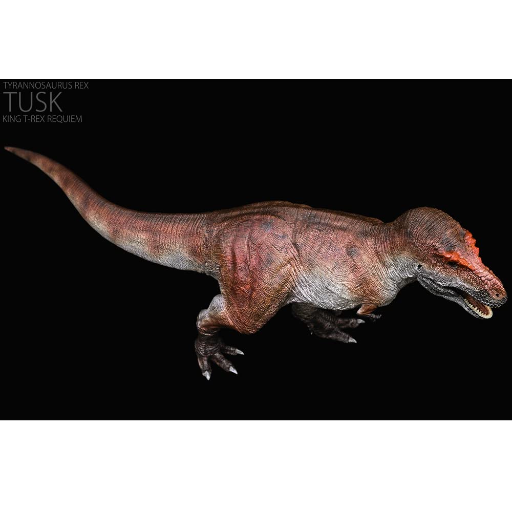 REBOR KING T-REX 1/35 スケール Rebor Tyrannosaurus rex (KING T-REX) Dinosaur Model
