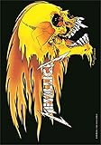 Material: Polyester Metallica,Skull & Flames, Fahne