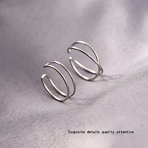 2020 Nouveau S925 Silver Simple Bague Ouverte Femelle Mode Brans Anniversaire Cadeau House Hipster Ring Net Red Fashion Personnalité (Color : Silver1) Cover