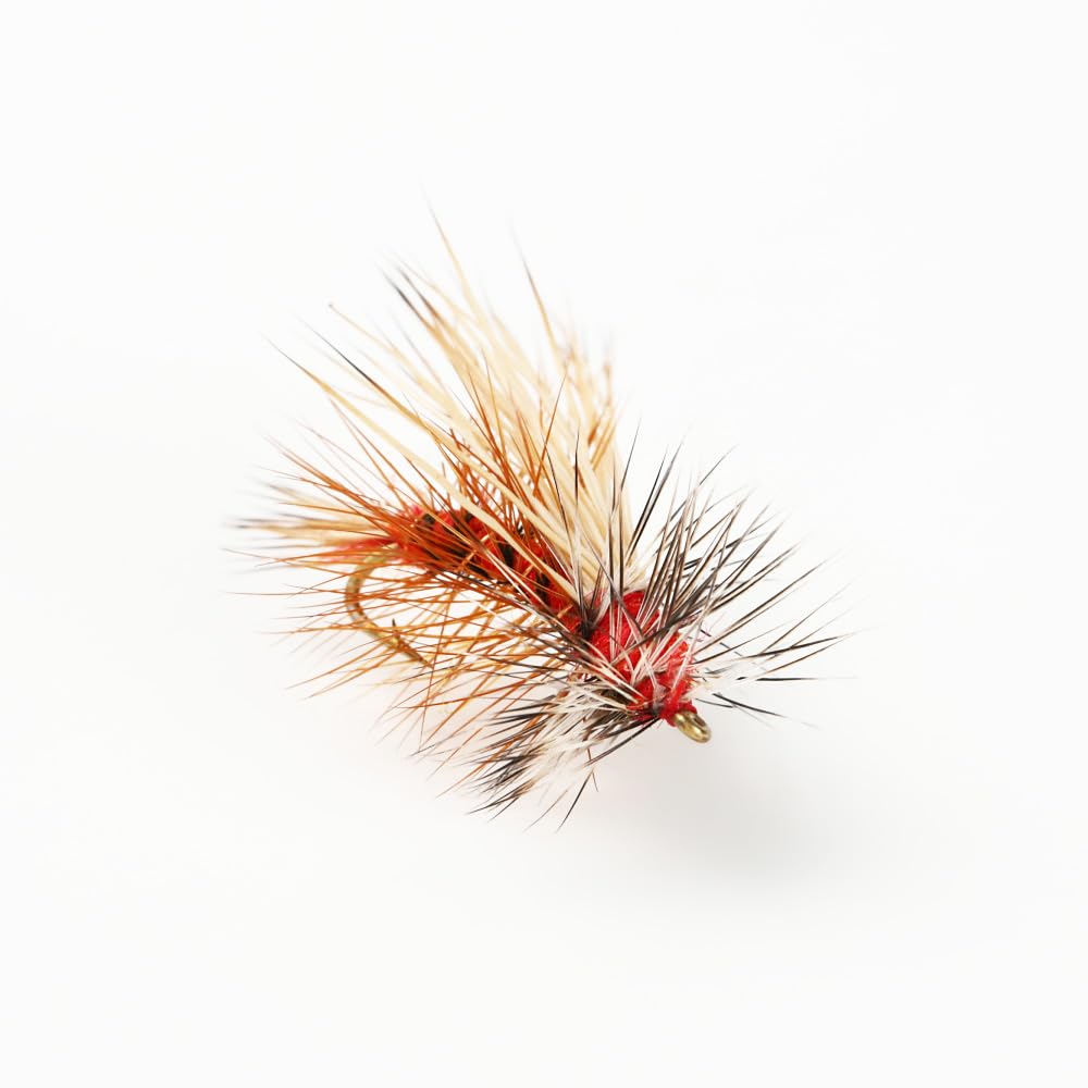 Amazon | Stimulator Orange #14 スティミュレーター オレンジ