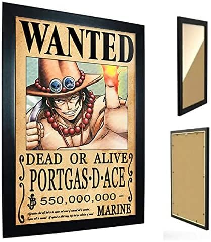 Quadro Decorativo Portgas One Piece Poster Wanted | Amazon.com.br