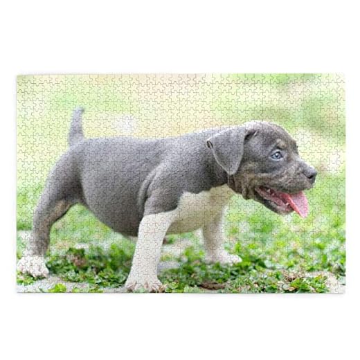 Pussel 1 000 bitar Weimaraner valp små grå hundar blå ögon söt trä pussel leksak familjespel väggdekor för vuxna tonåringar