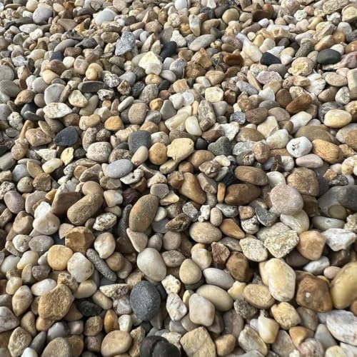World PLANTIL Gravilla Canto Rodado Amarilla/Grava de Jardín/Piedra Natural/Saco 20 kg/Piedra decorativa/Exterior   interior (10/16 mm)