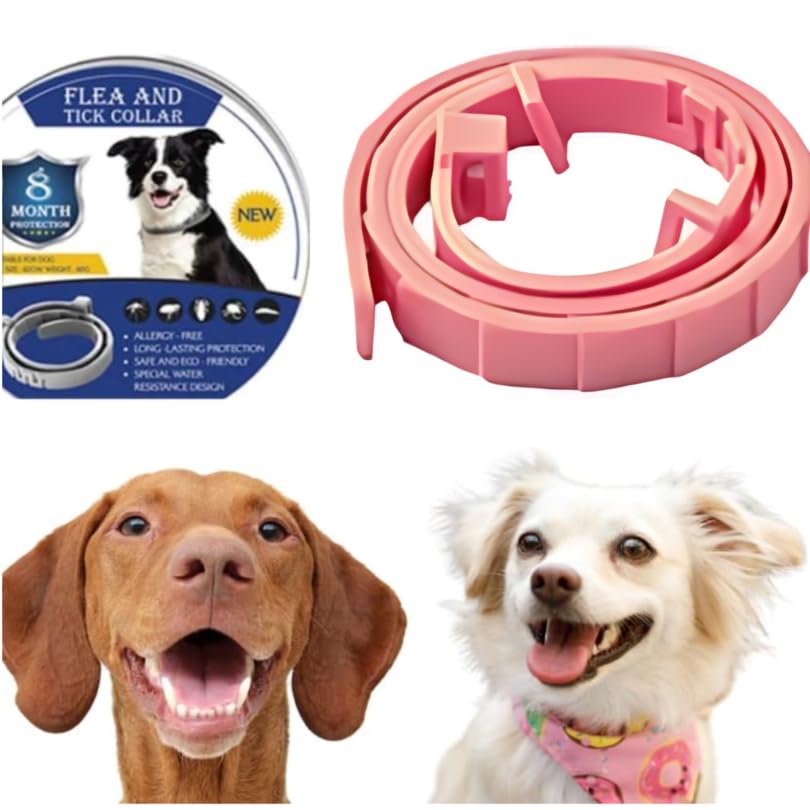 Collar Antiparasitario para Perros Protección contra Pulgas, Garrapatas y Leishmaniosis, 8 Meses de Duración, Seguro, Sin BPA, para Perros Pequeños y Grandes (Rosa)