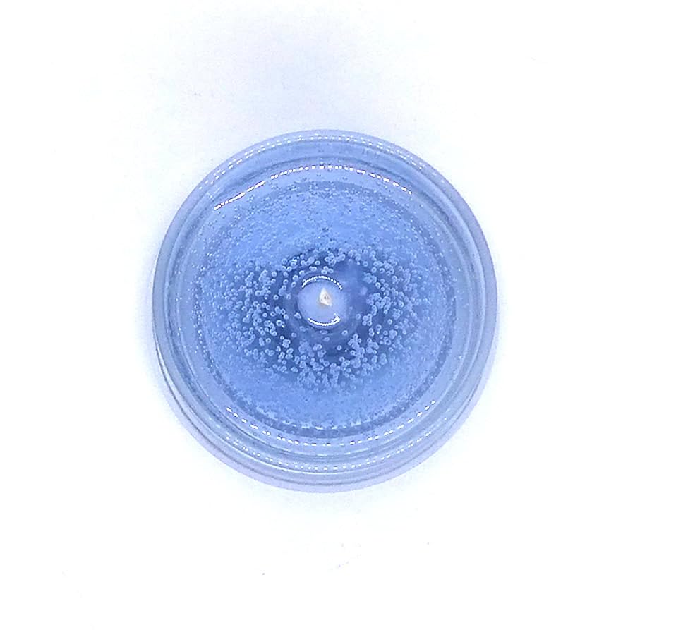 Miniatura 5 de Up to 120 Hour DRIFTWOOD AND SEA SALT Scented Deco Jar Mineral Oil Based Candle Clean Burning Gentle Aroma Made in USA by The Gel Candle Company