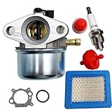 LIZAPUS Carburetor Compatible with Briggs & Stratton 875 Series 190cc 8.75ft-lbs Torque Engine