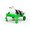 Product Photo 2