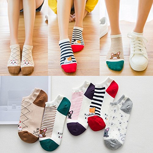Faybox Women's Cat Socks Cute Animal Socks No Show Socks，Birthday Gifts For Women Her Girls 5 Pairs #TOP3