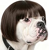 Funny Dog Wig for Small Medium Large Dogs with Adjustable Elastic Bands, Trimmable Pet Costume Cat Cosplay Decoration for Halloween, Christmas, Parties