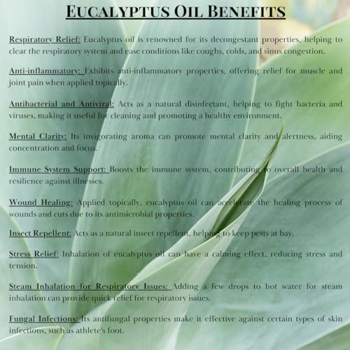 Image of Heilen Biopharm Eucalyptus Essential Oil - 15 mL Bottle Pack of 1, For Joint Health Improvement