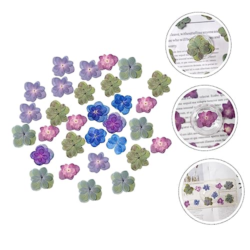 Flores secas prensadas LIFKOME 30 piezas para manualidades miniatura 5