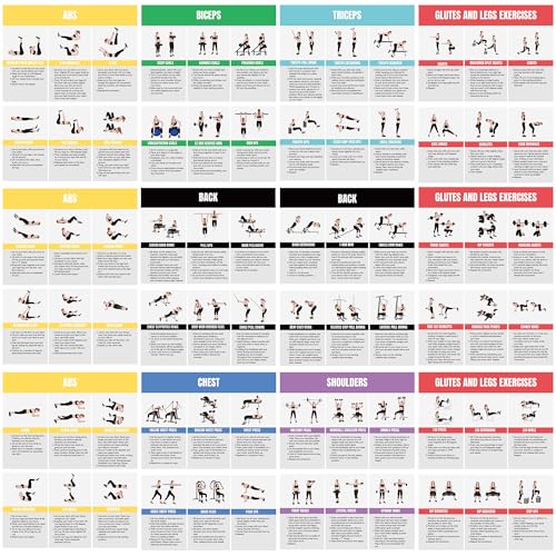 Auroscent Full Body Workout Poster for Home Gym – Exercise Chart for Glutes, Legs, Back & Abs – Strength Training Guide with Squats, Lunges, Deadlifts, Core Exercises – Bodyweight & Dumbbell Training Guide