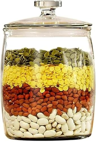 ZxylerKXHiۑr rLb`p ĕۑeĂтOX Еr hCt[c hKXۑe HipSqKXr