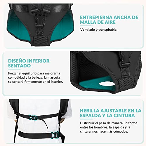 Perro, Pet Products Imagen adicional