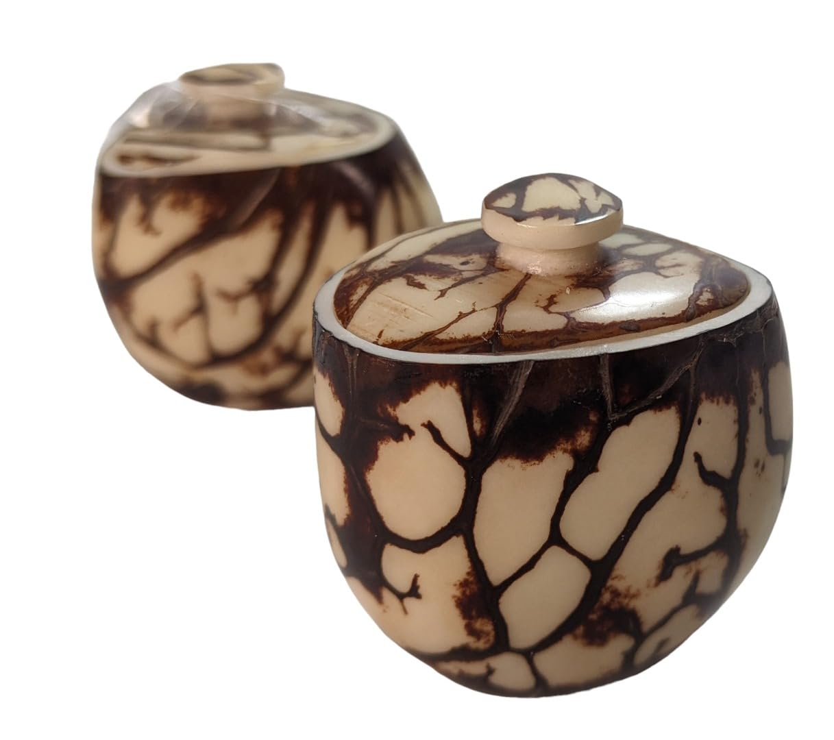 1 x Fair Trade Ecuador Tagua Carving | Vegan Ivory | NUT STASHBOX