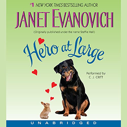 Hero at Large CD view 2