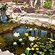 BESPORTBLE Seerosen Künstlich, 5 Stück Schwimmend Lotusblüten Teichpflanzen Künstlich für Teichdeko Miniteich, Innenhof, Aquarium, Bachszene