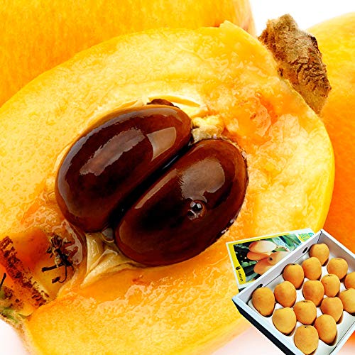 �т� �Í� ��1kg 3L�`4L�T�C�Y 12�`16�� �n�E�X�͔| JA���肹���� ���茧�Y �r�� �t���[�c �ʕ� �O���� ����Ή� ���j�Ή� �����Ή�