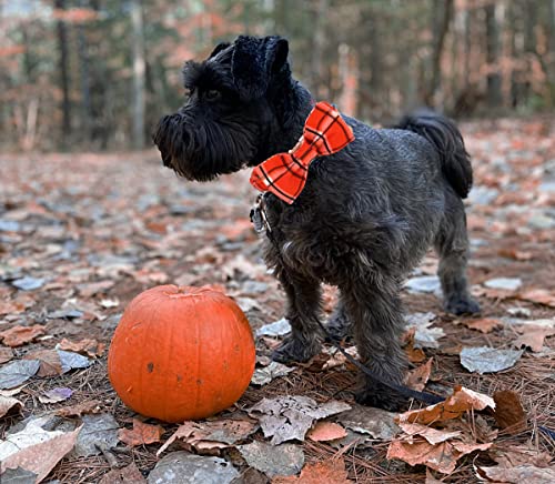 DOGWONG-Fall-Plaid-Dog-Collar-with-Removable-Cute-Bow-Tie-Adjustable-Pet-Collars-Soft-Comfy-Orange-Plaid-Pet-Collar-Fall-Dog-Collar-for-Small-Medium-Large-Dogs