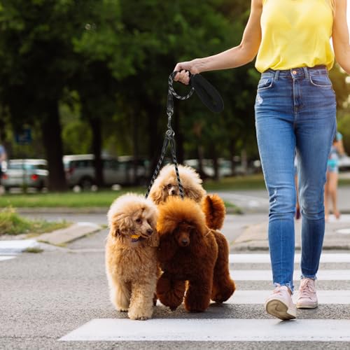 Doppelleine für 2 Hunde, Keine Verwicklung Leine für 2 Hunde, 360° Drehbare, Reflektierende Hundeleine mit Gepolsterten Griffen, Lauftraining für Kleine, Mittlere und Große Welpe (Schwarz, Mittel)