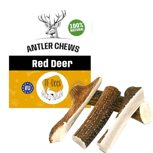 RF - Deer Corno di Cervo per Cani 100% Naturale Osso di Cervo per Cani Masticativi Naturali, Giochi e Snack Bocconcino per Cane Taglia S SOFT Version 20-40 g 8-10 cm 1 pezzo