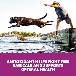 Grizzly Wild Antarctic Krill Oil All-Pure Antioxidant Canine Meals Complement, 8 oz Grizzly Wild Antarctic Krill Oil All-Pure Antioxidant Canine Meals Complement, 8 oz