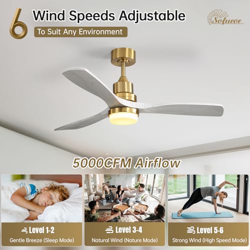 Image of Sofucor 52 Inch Wood Ceiling Fan with Light and Remote for Indoor Outdoor