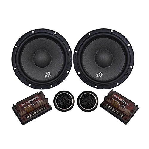6 inch 100 watt subwoofer