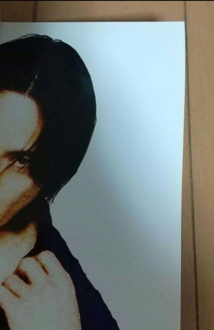 Amazon.co.jp: 氷室京介 ツアー「BEAT HAZE ODYSSEY」ポスター3枚 