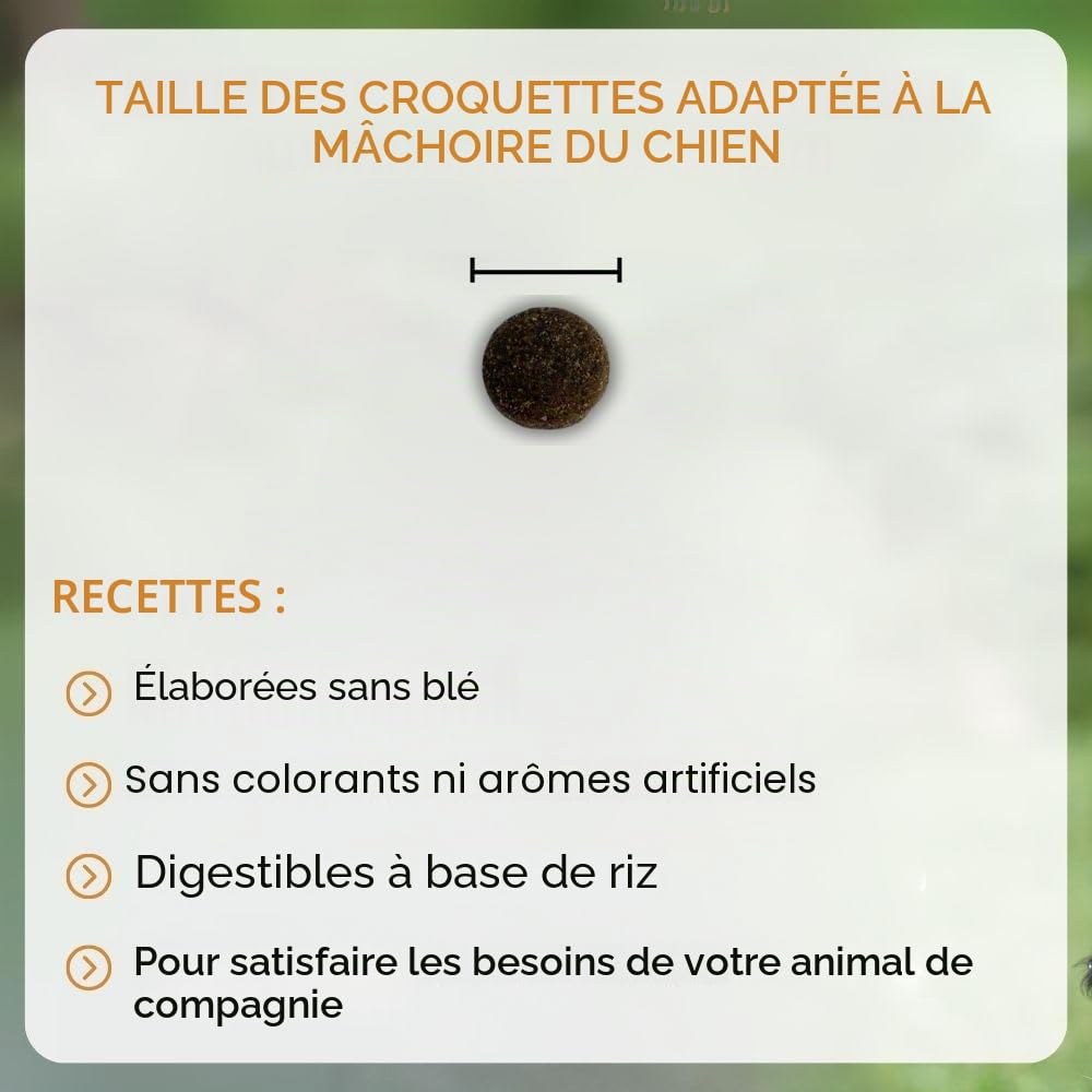 NUTRIVET - Super Premium - Adulte Large - Croquettes sans Blé - Chien - Riche en Protéines Animales - 15 kg