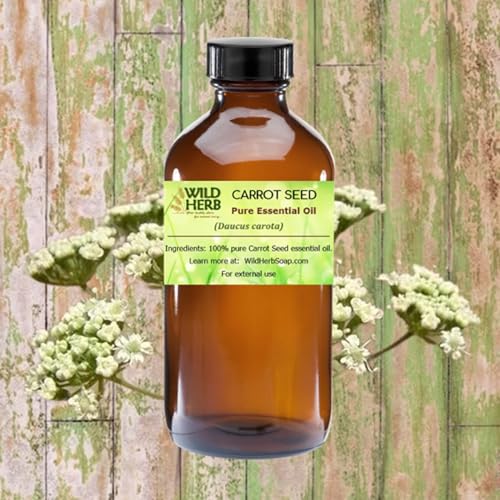 Aceite esencial puro de semilla de zanahoria 2 OZ miniatura 2