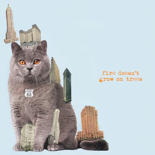 #1 LUCKY KITTY #1 LUCKY KITTY