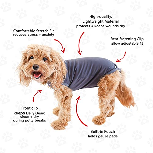 image for BellyGuard Recovery Suit for Dogs, Comfy Dog Surgery Suit, Female Spay